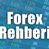 Forex Rehberi: Forex Hakkında Bilmeniz Gereken Her şey!