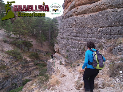 Fósiles en la Sierra de Albarracín