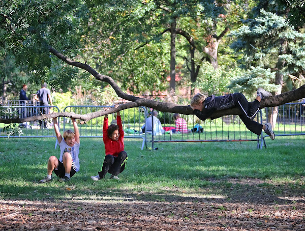 Tompkins Square Park 15 October 2016