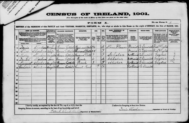 1901 Census Croom, Limerick, Ireland Denis Sheehan  http://jollettetc.blogspot.com