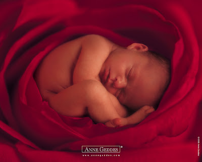 anne geddes wallpapers. Babybilder av Anne Geddes