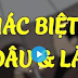 Sự khác nhau giữa làm dâu và làm rể ai cũng nên đọc