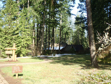 My Favorite State Park