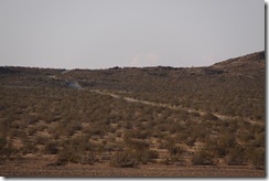 IMG_3971