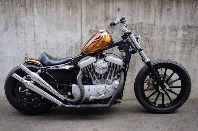 Harley Davidson By Flakes Motorcycle