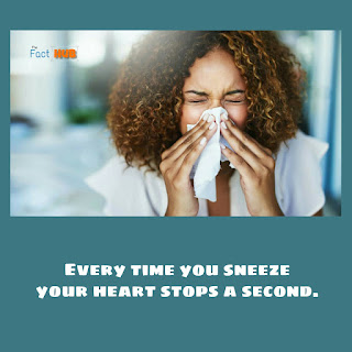 Every time you sneeze your heart stops a second.