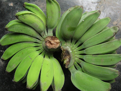 How to Lose Weight Using Banana Fruit