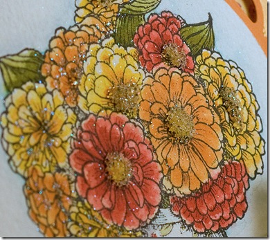 DPK_SneakPeek_Zinnias_orange_closeup