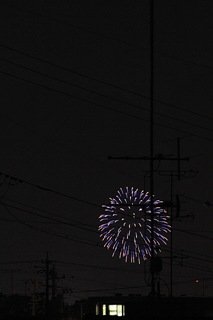 hanabi170