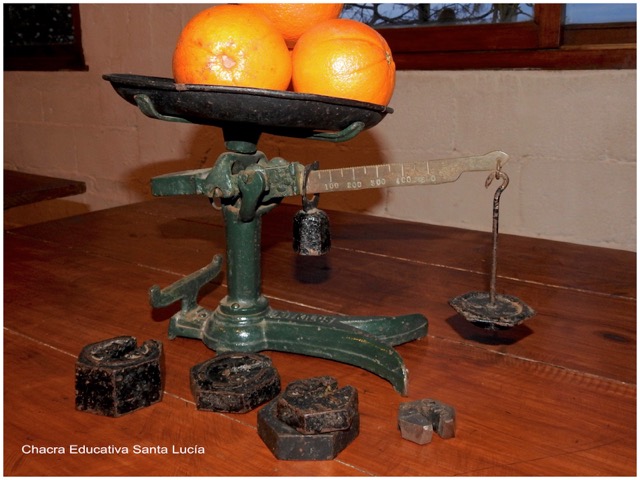 Kilo, unidad de peso - Naranjas en la balanza - Chacra Educativa Santa Lucía