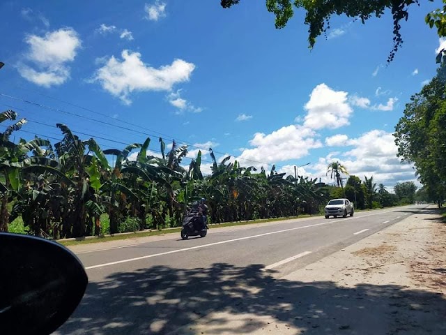 Titled Lot For Sale Along Hiway - Good For Commercial Cebu Investment