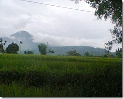 Foto0225(1)