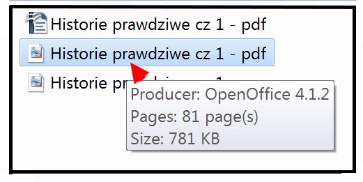 wprowadzanie metadanych do fotografii