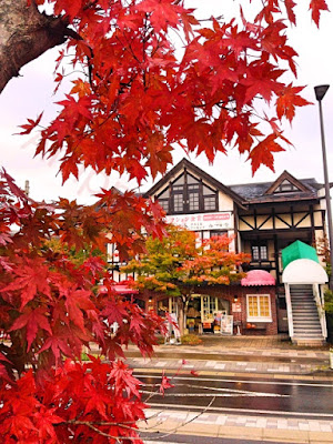 Karuizawa Autumn