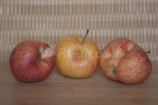 Three misshapen apples on wooden surface