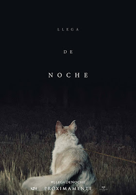 Póster de Llega de Noche