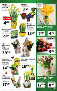 https://lidl.okazjum.pl/gazetka/gazetka-promocyjna-lidl-14-03-2016,19098/10/