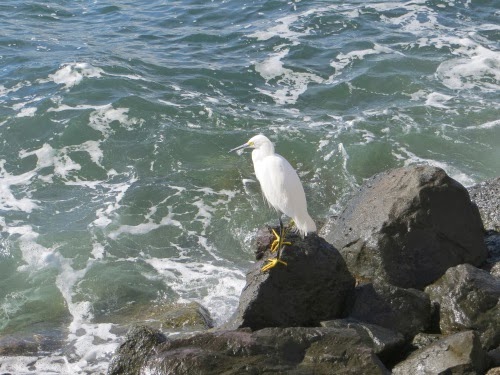SaturdayAlongtheEmbarcadero-16-2014-01-18-12-04.jpg
