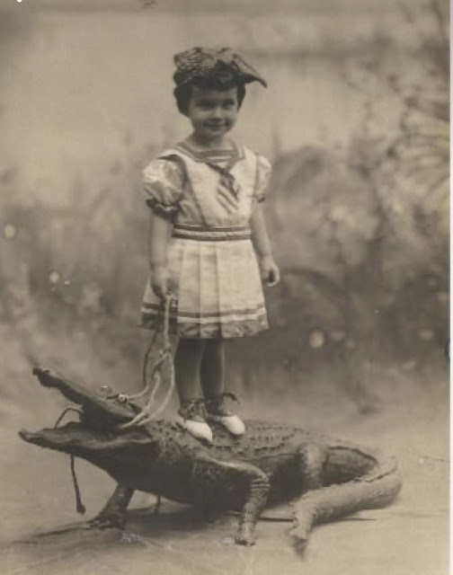 A vintage image of a girl standing on an alligators back.