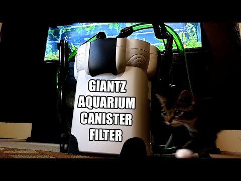 Canister Filter is Best for an Oscar Aquarium