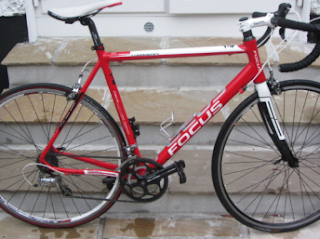 Stolen Bicycle - Focus Variado