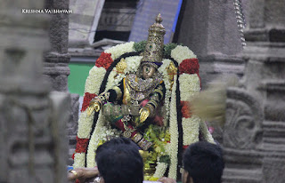 Aani,Yoga Narasimhar Thirukolam, Purappadu , Vahanam,Sri Theliya Singar, Yoga Narasimhar,Brahmotsavam ,Purappadu,Video, Divya Prabhandam,Sri Parthasarathy Perumal, Triplicane,Thiruvallikeni,Utsavam,