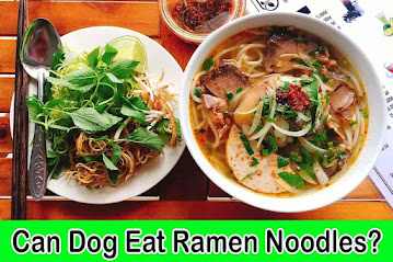 can dogs eat ramen noodles, are ramen noodles bad for dogs, ramen for dogs