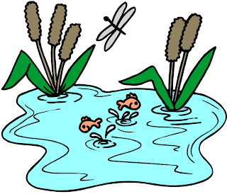 fishpond clipart