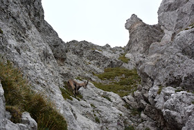 Monte Pilatus - Lucerna - Suiza