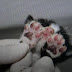 Polícia Civil prende mulher por queimar dois filhotes de gato, em Manaus