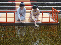 祇園、宮川町の2名の舞妓さんも流した。