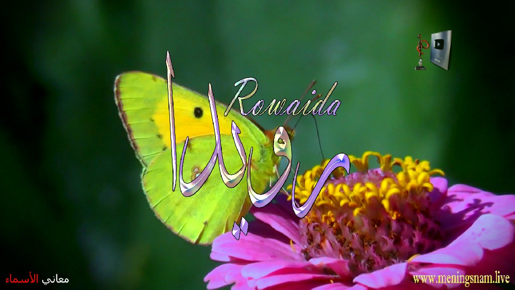 معنى اسم رويدا, وصفات, حاملة, هذا الاسم, Rowaida,