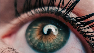 La Magia de la Visión: Cómo el Ojo Humano Percibe 10 Millones de Colores