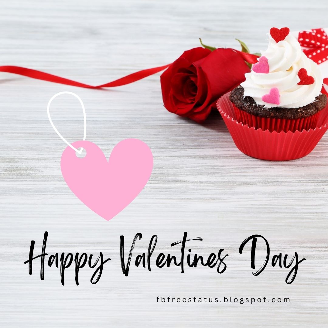 Happy Valentines Day Pictures Images