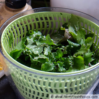 Arugula Recipes