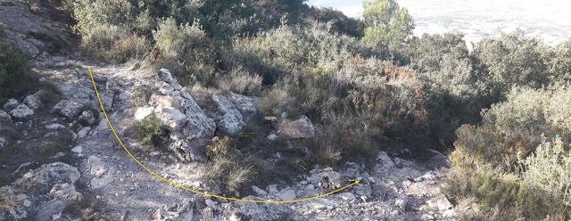 LA COGULLA - EL TOSSAL GROS Figuerola del Camp -(Alt Camp) -  Montblanc - (Conca de Barberà); carena de la Serra Carbonera en direcció al Coll de Coloma