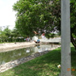 View album