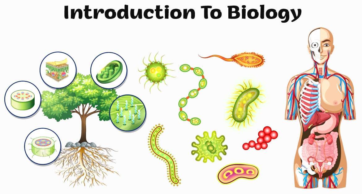 Biology Class 9 Chapter 1