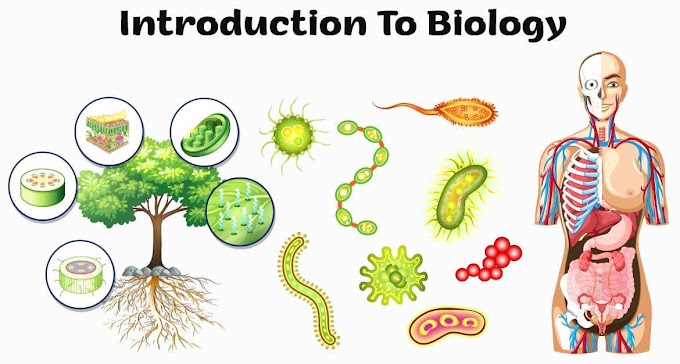 Biology Class 9 Notes Chapter 1