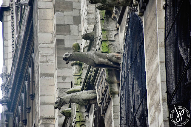 gargoyles, architecture