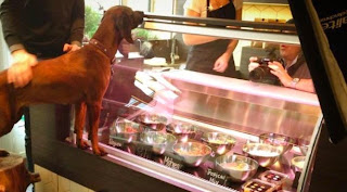 Restaurant Exclusivo Perros
