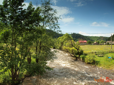 Valea Toplitei