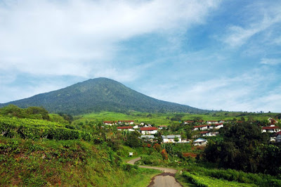 https://indonesiawisataindah.blogspot.com/2017/11/lokasi-wisata-kebun-teh-gunung-dempo-pagar-alam.html