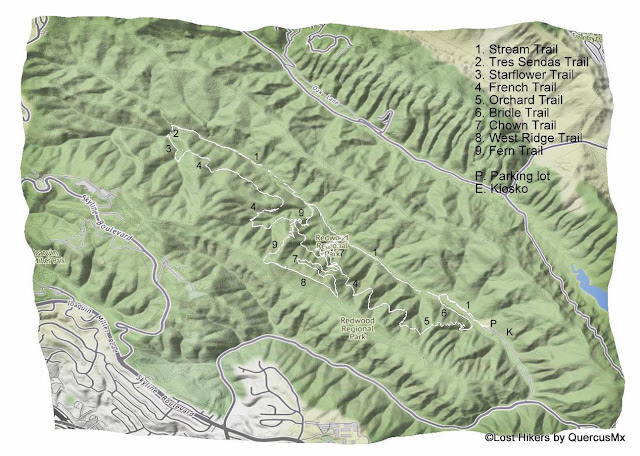 Mapa de excursiones en Redwood Regional Park  por Lost Hikers. 