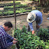 Mañana se entregaran plantas diversas en bajos de palacio de Misantla