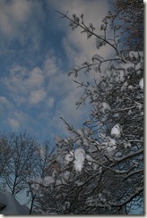 January 2010 374