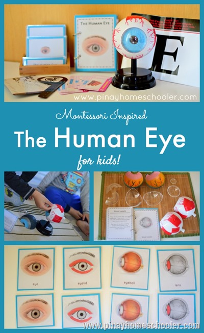 HumanEyePIN