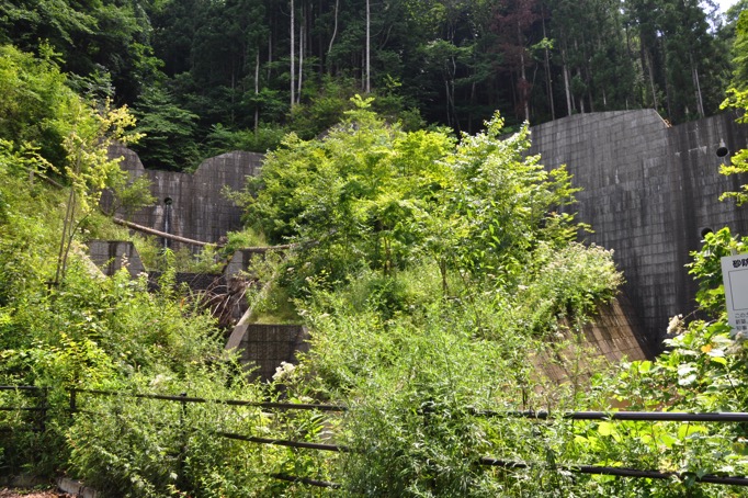 20150726 DSC 0557