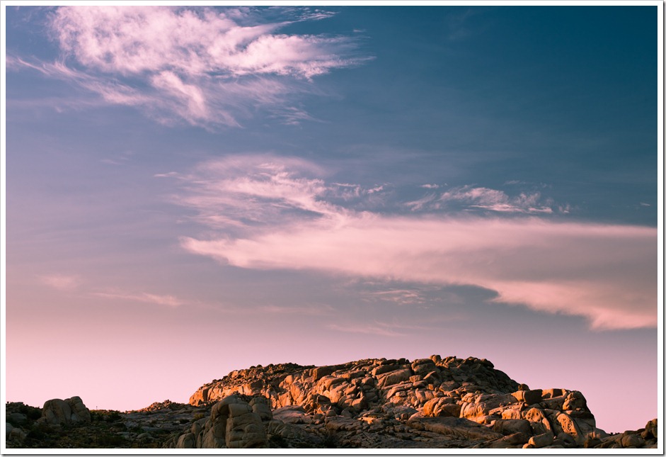 JoshuaTreeFacebook-126