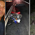 Motociclista morre após colidir com animal na pista, e logo depois ser atropelado por caminhão na BR-407
